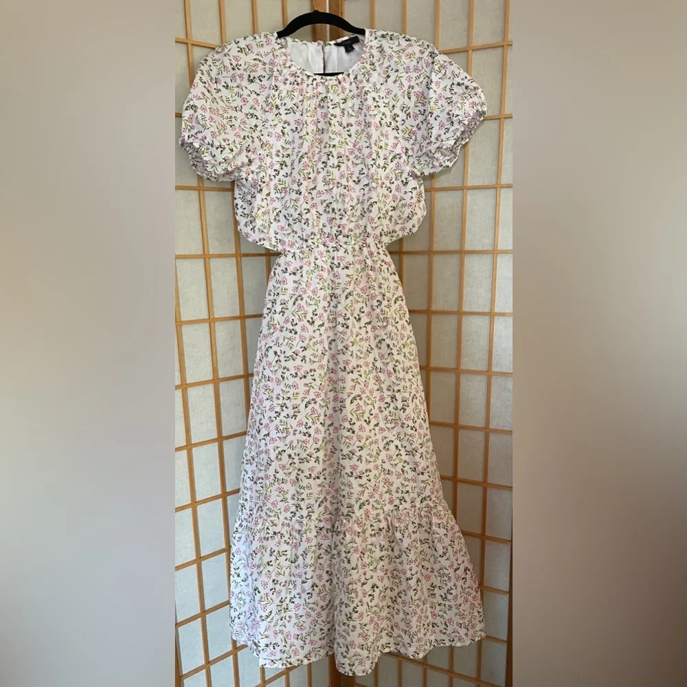 J. Crew Eden Poplin Meadow Floral Midi Short Sleeve Lower Back Cutout Dress 4 - Picture 3 of 16